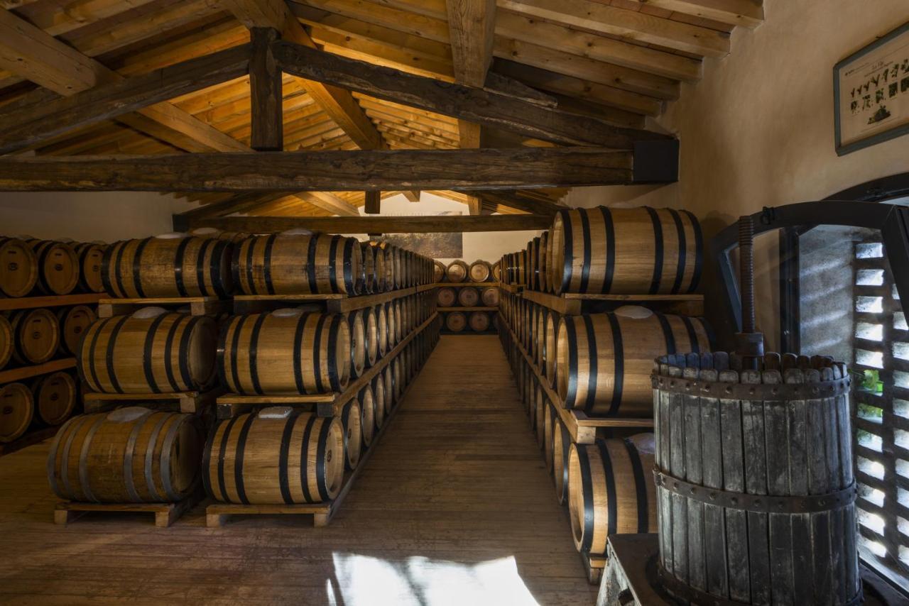 Hotel Torre a Cona Wine Estate San Donato in Collina Esterno foto